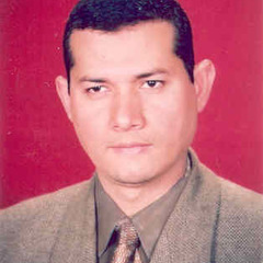 Attia El-Fergany's profile picture