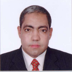 Nageh Allam's profile picture
