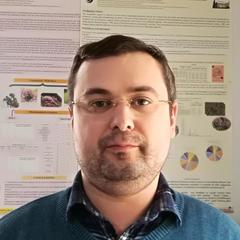 Radu Necula's profile picture