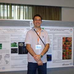 Eduardo Esteves's profile picture