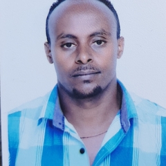 Zelalem Anteneh's profile picture