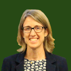 Sophie Hermans's profile picture