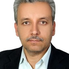 Mohammad Javad Dehghani's profile picture