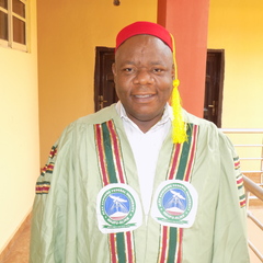 Augustine Ibegbu's profile picture