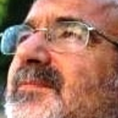 Maurizio D'Auria's profile picture