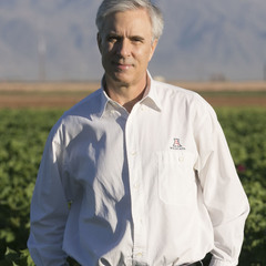 Peter Ellsworth's profile picture