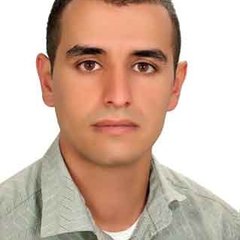Reza Omidipour's profile picture