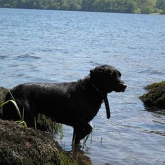 Melanie Haith-Cooper's profile picture