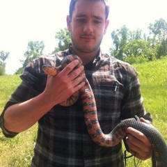 Thomas  Doherty-Bone's profile picture