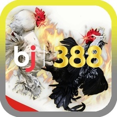 Nhà cái BJ388's profile picture