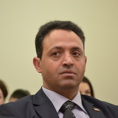 Alaa Eldin  Elsharkawy's profile picture