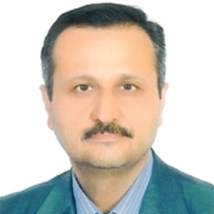 Yahya Maghsoudlou's profile picture