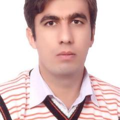 Majid Ghashang's profile picture