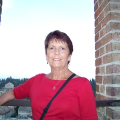 Carol Pollard's profile picture