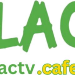 Xoilac TV's profile picture