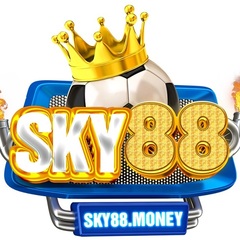 SKY88  money's profile picture