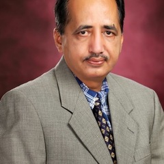 Sarjeev  Yadav's profile picture