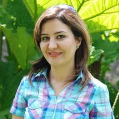 Safiyeh  Haghani's profile picture