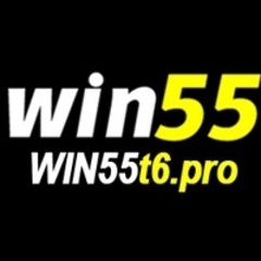 Win55t6 Pro's profile picture
