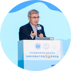 Zaijie Dong's profile picture