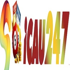 Soi  Cầu 247's profile picture