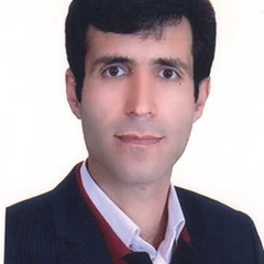 Hamid Hassasi's profile picture