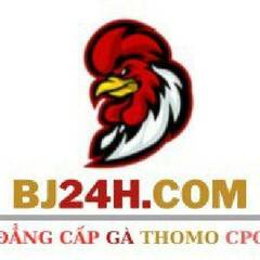 bj24h com's profile picture