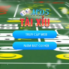 Taixiumd5 Run's profile picture