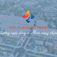 winstar hangtram's profile picture