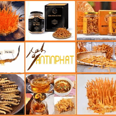 GửiYếnSào ĐiMỹ's profile picture