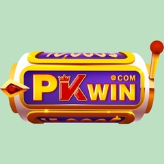 PKWIN dev's profile picture
