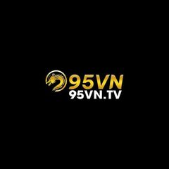 95VN  TV 's profile picture