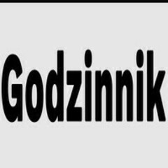 God zinnik's profile picture