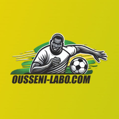 Ousseni  Labo's profile picture