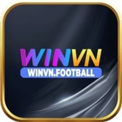 WinVN Footlball's profile picture