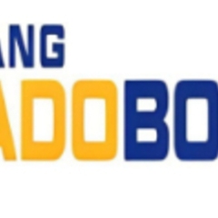 Trang Ca Do  Bong Da's profile picture