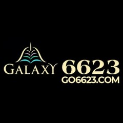 GO6623 com's profile picture