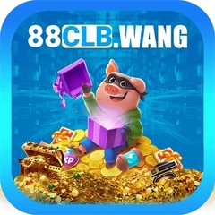 88clb wang's profile picture