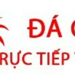 Đá Gà Trực Tiếp Thomo Hôm Nay's profile picture