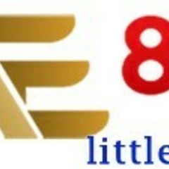 AE888 littledetroit's profile picture