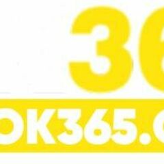 365ok365 org's profile picture