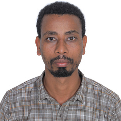 Alemu Solbamo's profile picture