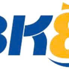 BK8 v03's profile picture