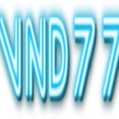 VND 77's profile picture