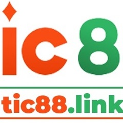 Tic88 link's profile picture