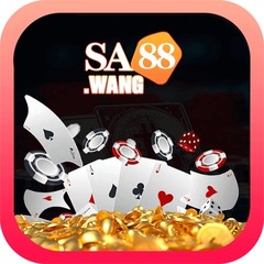 sa88 wang's profile picture