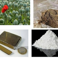 thuoc phiennn's profile picture