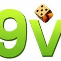 69 VN's profile picture