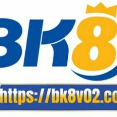 Bk8 V02's profile picture