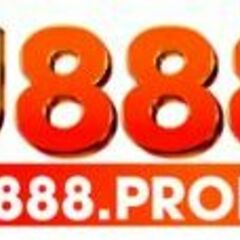 U 888's profile picture